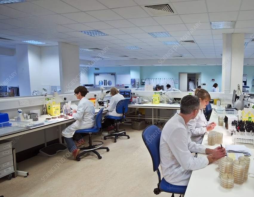 Pathology Lab